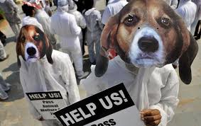 Pet lovers in Spain hold a demonstration for pet welfare