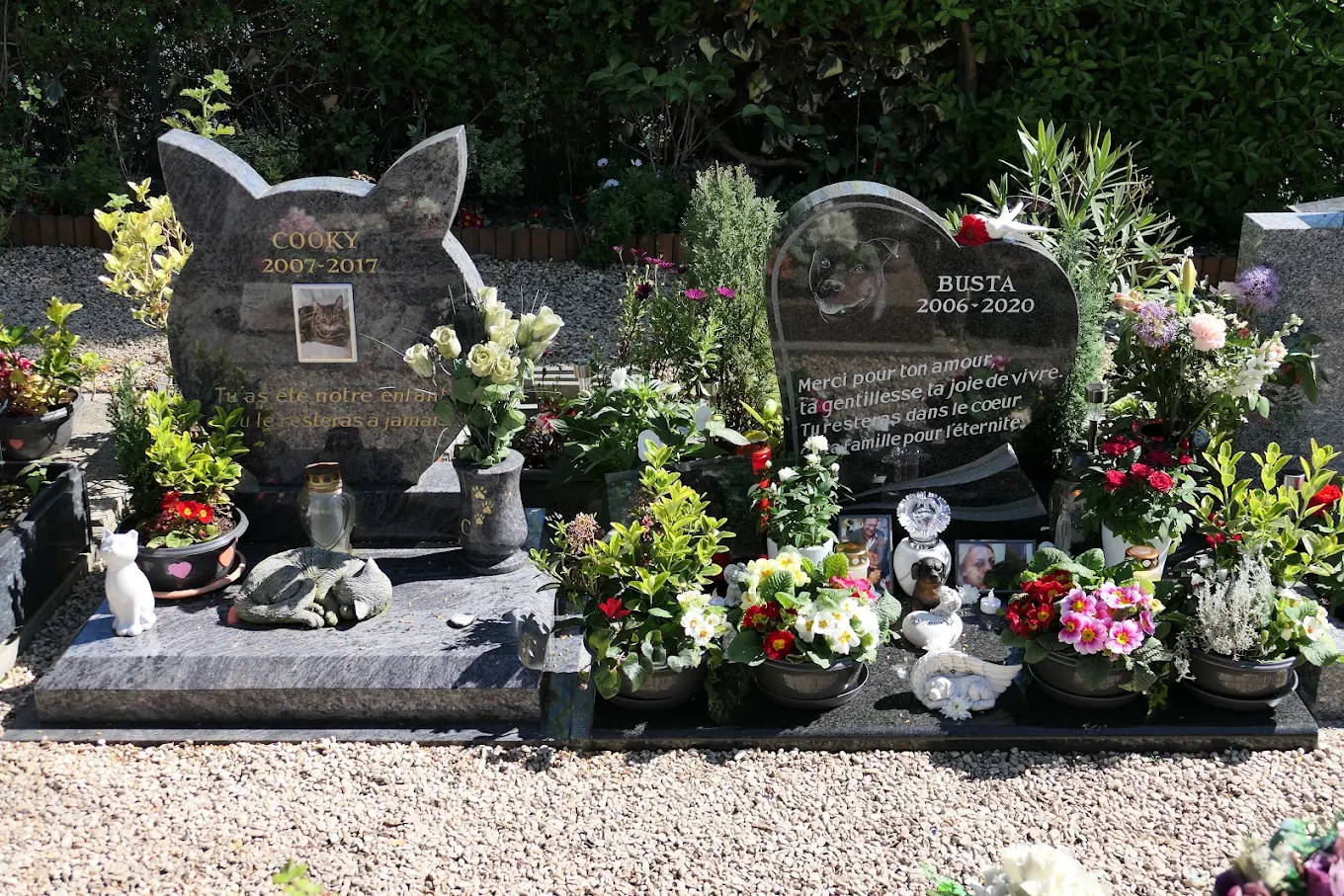 Pet tombstone engraved with blessings and thoughts